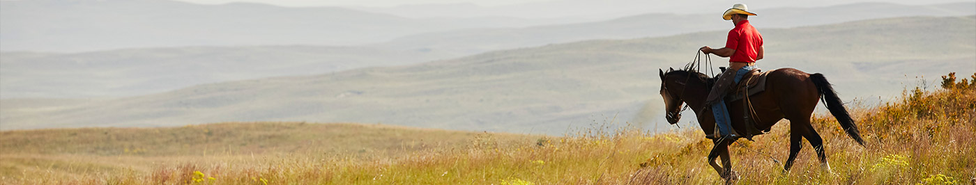 man on horseback in field